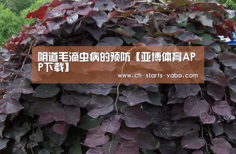 阴道毛滴虫病的预防【亚博体育APP下载】(图2) Yabo亚博集团