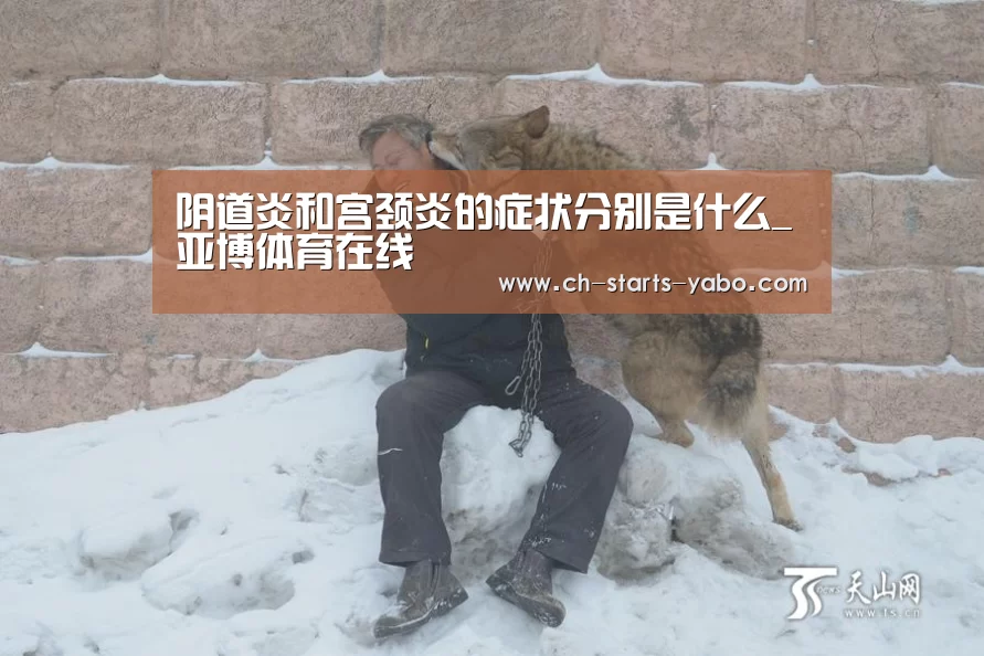 Yabo亚博集团