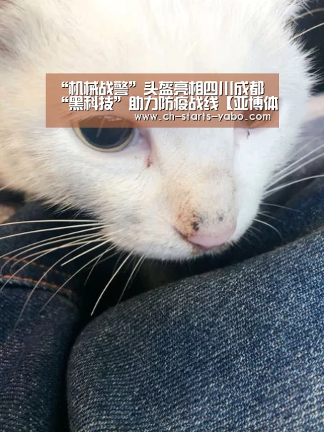 “机械战警”头盔亮相四川成都 “黑科技”助力防疫战线【亚博体育在线】(图1) Yabo亚博集团