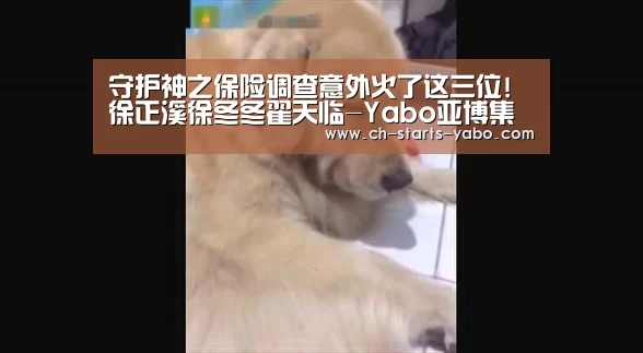 守护神之保险调查意外火了这三位!徐正溪徐冬冬翟天临-Yabo亚博集团(图1) 亚博官方