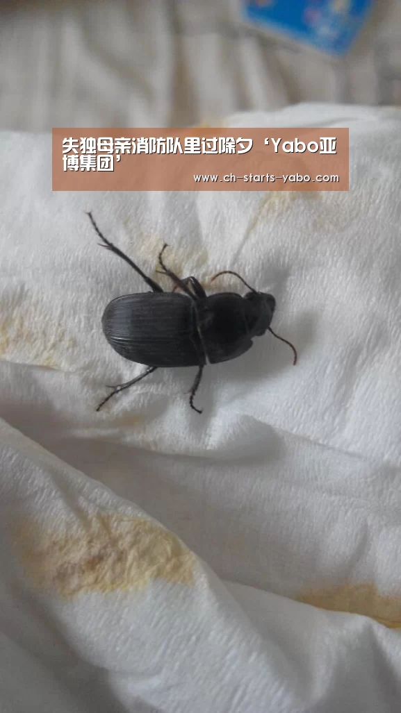 亚博体育登录