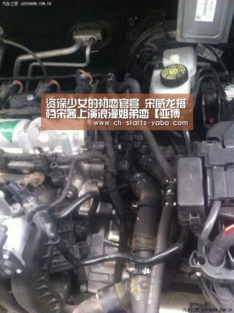 资深少女的初恋官宣 宋威龙搭档宋茜上演浪漫姐弟恋【亚博体育官网】(图3) 亚博体育在线