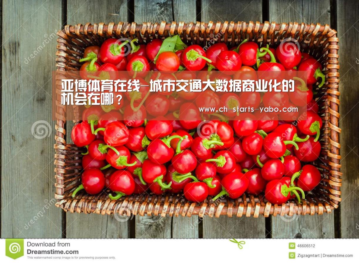 亚博体育在线-城市交通大数据商业化的机会在哪?(图1) 亚博体育登录